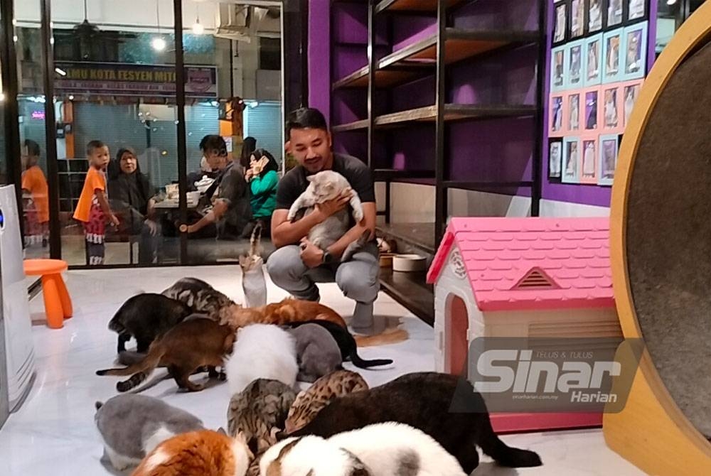 Muhammad Ariff bersama sebahagian kucing miliknya yang diletakkan di kafe 'Cat Walk Studio' di Kota Fesyen MiTC.