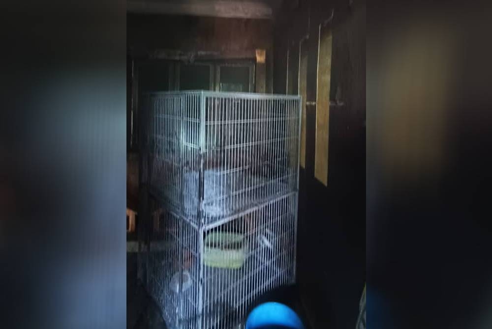 Bilik simpanan kucing di kediaman Ahmad Zahid di Country Heights terbakar pada Sabtu. - Foto Bomba Selangor