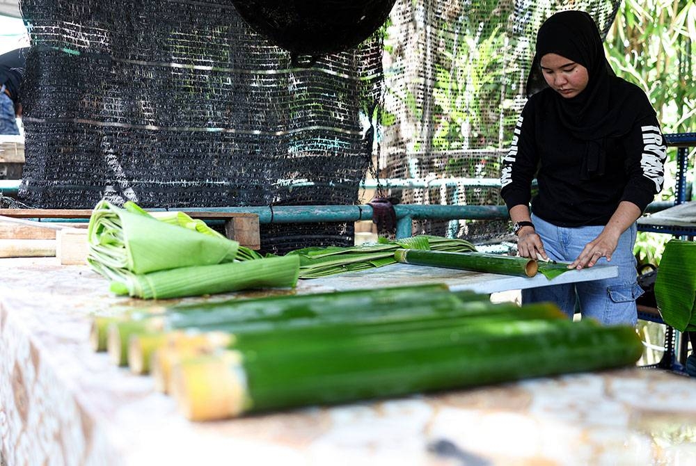Peniaga, Nur Fatihah Nasuha Emyzar, 29, memotong daun pisang untuk dimasukkan ke dalam buluh lemang ketika tinjauan Bernama di gerai lemangnya di Klebang Putra semalam.