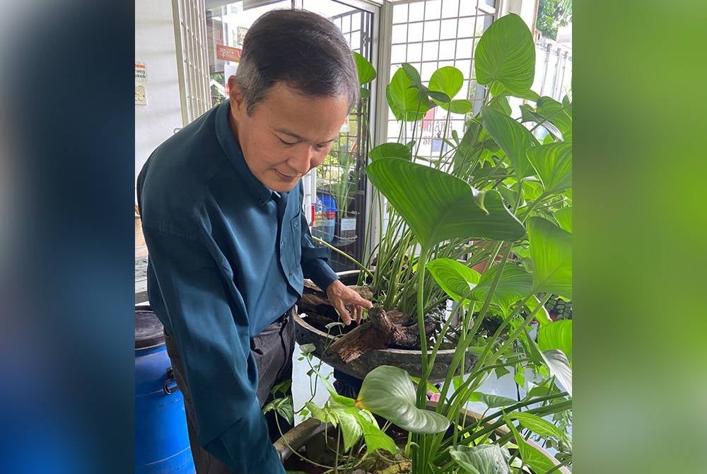 Penggunaan zeolite mampu menjadikan air jernih kerana sifatnya menarik benda dan elemen positif.