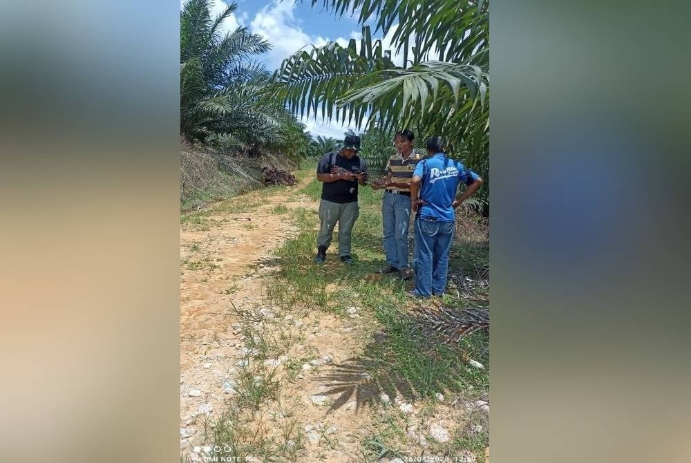 Pihak pengurusan sedang melakukan pemantauan susulan kemunculan haiwan buas dalam kawasan kebun kelapa sawit di Felda Ulu Tebrau, Johor Bahru.