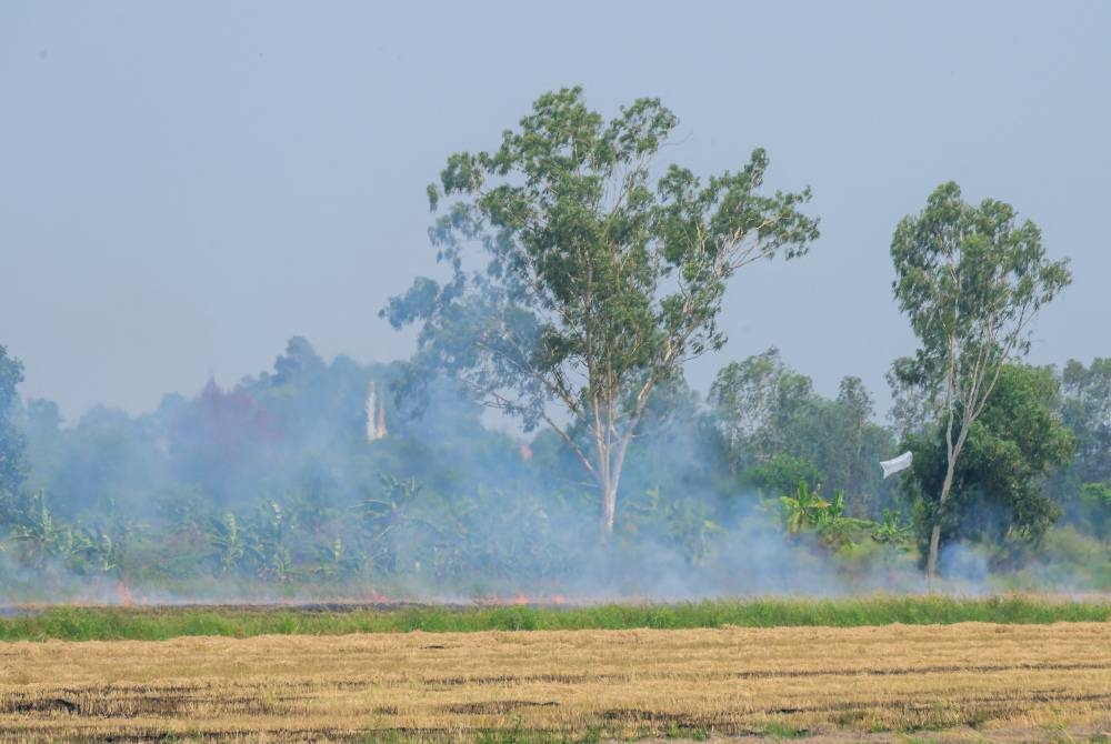 L'activité de combustion de la paille de riz à Nakhon Nayok est l'une des causes de la pollution de l'air dans toute la Thaïlande.  -AFP