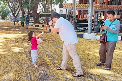 Orang ramai mengambil peluang bergambar.