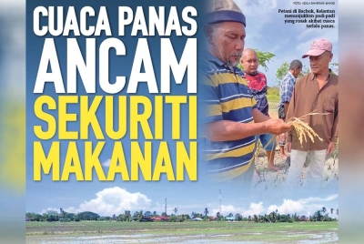 Cuaca panas ekstrem yang melanda negara ketika ini berpotensi mengancam sekuriti makanan negara susulan ia mampu menjejaskan hasil produktiviti pengeluaran padi.