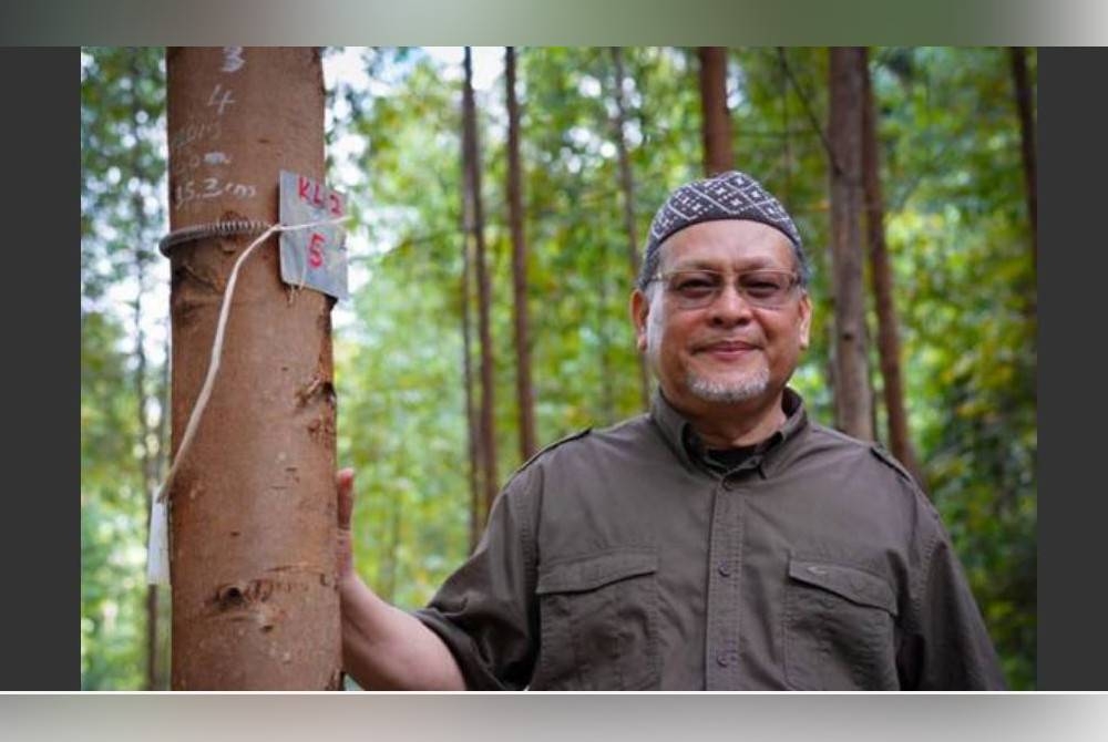 Mohd Amar bergambar dengan pokok eucalyptus di di Hutan Simpan Sungai Betis, Pos Brooke. - Foto Facebook Dato' Nik Amar