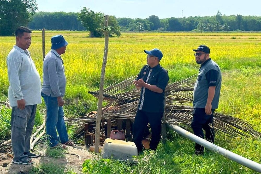Mohd Faizul (deuxième à droite) inspecte l'état des cultures de riz en raison de la sécheresse à Kota Bharu.