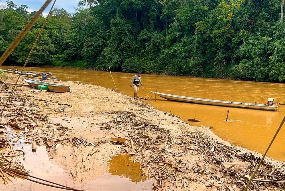 Pemandu bot enjin galah Muhamad Fakhry Sharif, 27, berjalan di atas beting pasir di Sungai Nenggiri, di sini.