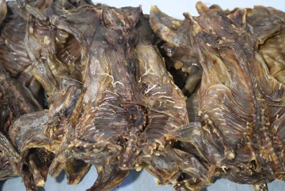 Sepuluh kg tikus salai dirampas daripada penumpang Vietnam di LTAPP pada Rabu.