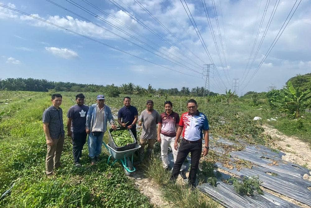 FAMA menyediakan khidmat pengaturan pemasaran kepada Muhd Rahimi sehingga keseluruhan hasil tuaian bendi berjaya dipasarkan melalui Pusat Operasi FAMA Tangkak.- Foto FAMA Negeri Johor