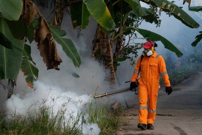 Jumlah korban akibat denggi meningkat kepada 29 kes sejak awal tahun. - Gambar hiasan