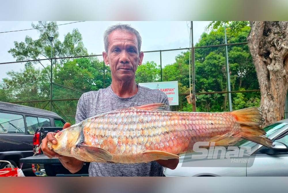 Raja Jalil bersama ikan temoleh yang ditangkap.