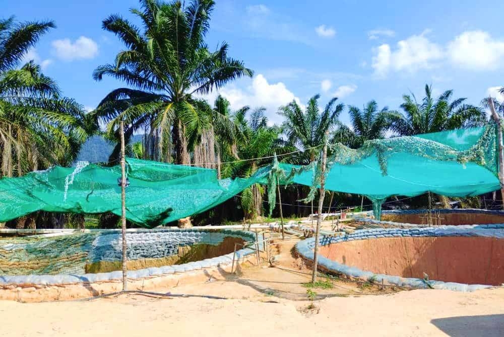 Une mine illégale qui traite des terres rares à Kampung Sikai, Seri Menanti, Kuala Pilah.  - Photo FB du district de Kuala Pilah et du bureau foncier