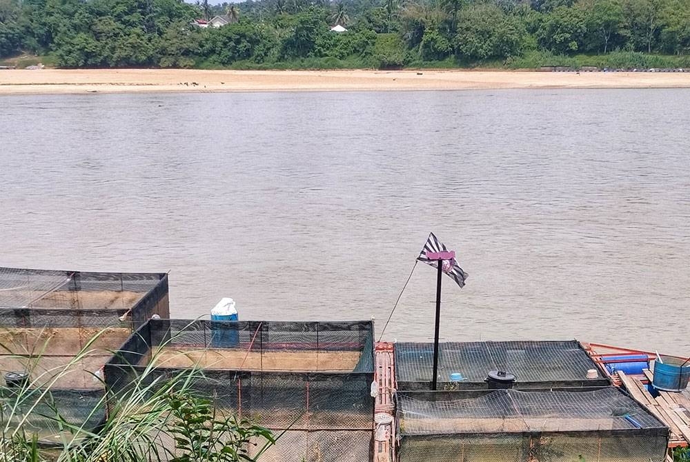 Faktor cuaca dan air sungai yang semakin surut dipercayai punca kemunculan haiwan terbabit di sekitar Sungai Pahang.