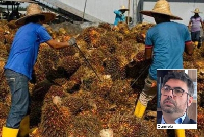 EU perlu mengiktiraf kerja keras Malaysia untuk menjadikan industri minyak sawit lebih lestari terhadap alam sekitar.
