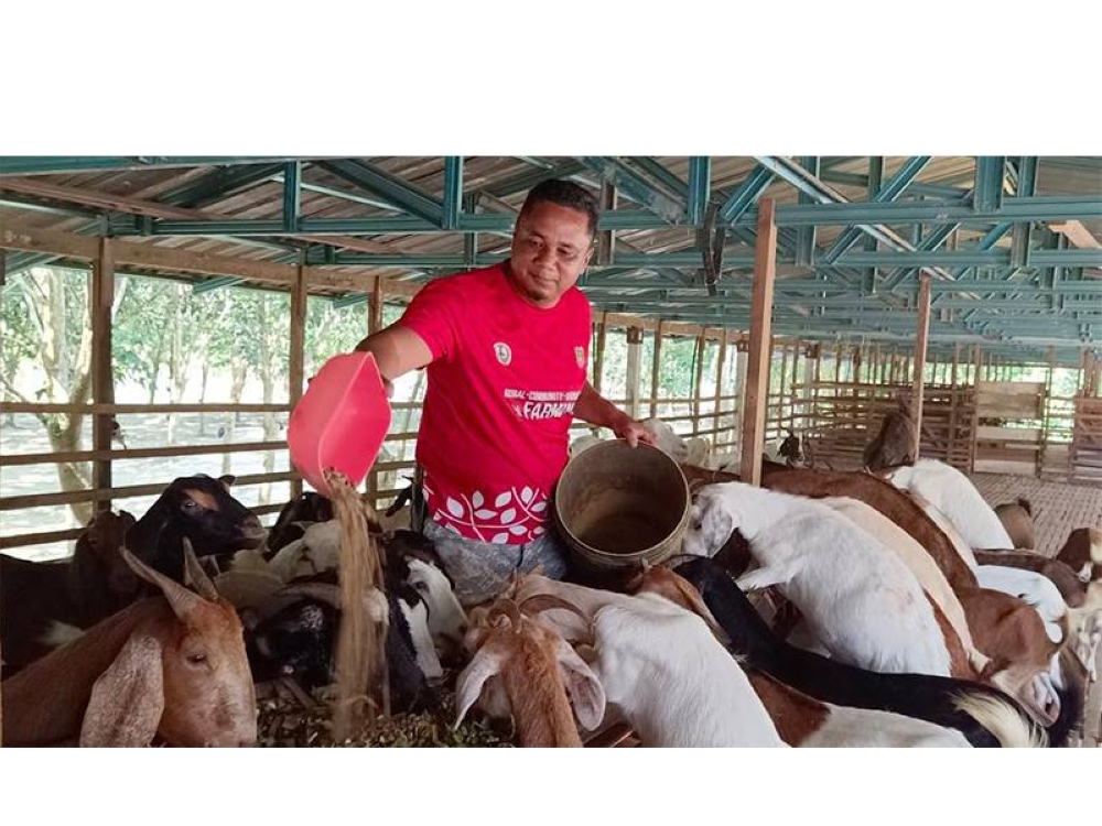 Hasil bimbingan berterusan RISDA, Mohd Azman kini berjaya menternak 67 lembu, 98 kambing dan 25 biri-biri.