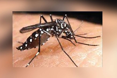 Jumlah kes deman denggi meningkat 7.9 peratus kepada 2,638 kes pada ME21 iaitu bagi tempoh 21 hingga 27 Mei, berbanding 2,444 kes dilaporkan pada minggu sebelumnya.