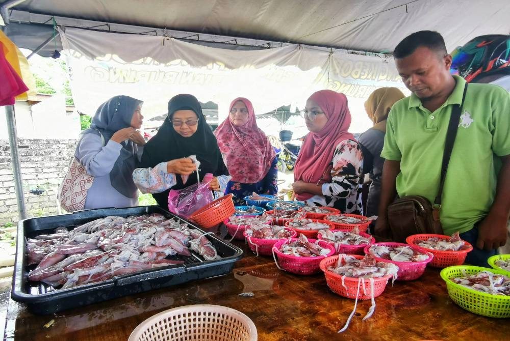 Pelanggan memilih sotong di kedai jualan sotong di Kampung Durian Burung di Kuala Terengganu.