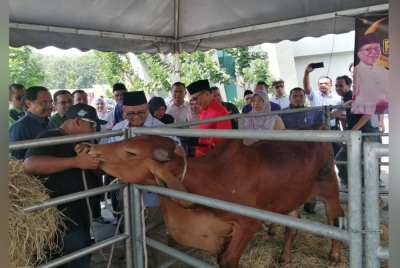 Amirudin (dua dari kini) meninjau lembu korban pada Program Sumbangan Korban Negeri Selangor 2023 di Pusat Konvensyen MBSA, di sini pada Sabtu.