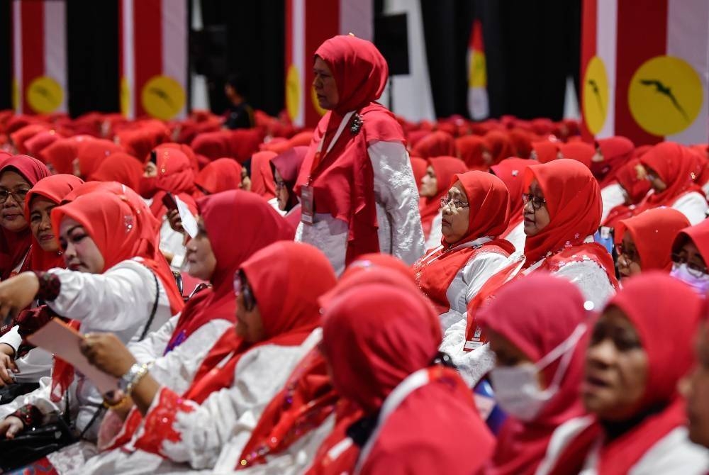 UMNO akan pulih dengan lebih pantas jika parti dapat menarik lebih ramai pengundi wanita.