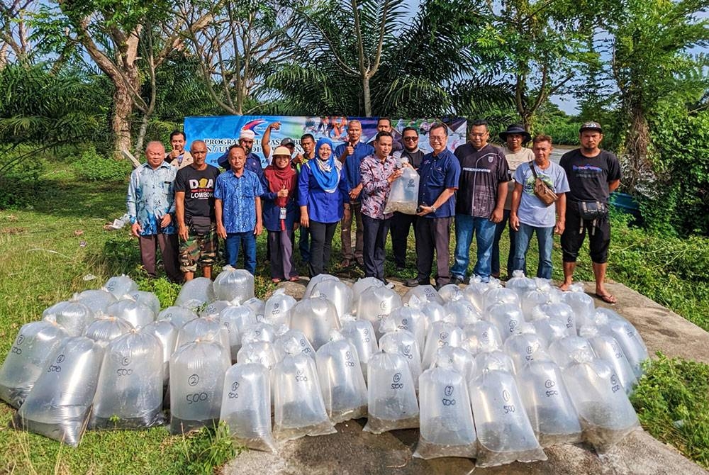 Sebanyak 31,000 benih ikan pelbagai spesis di Sungai Kampar dekat Kampung Kongsi Baru di sini pada Khamis.