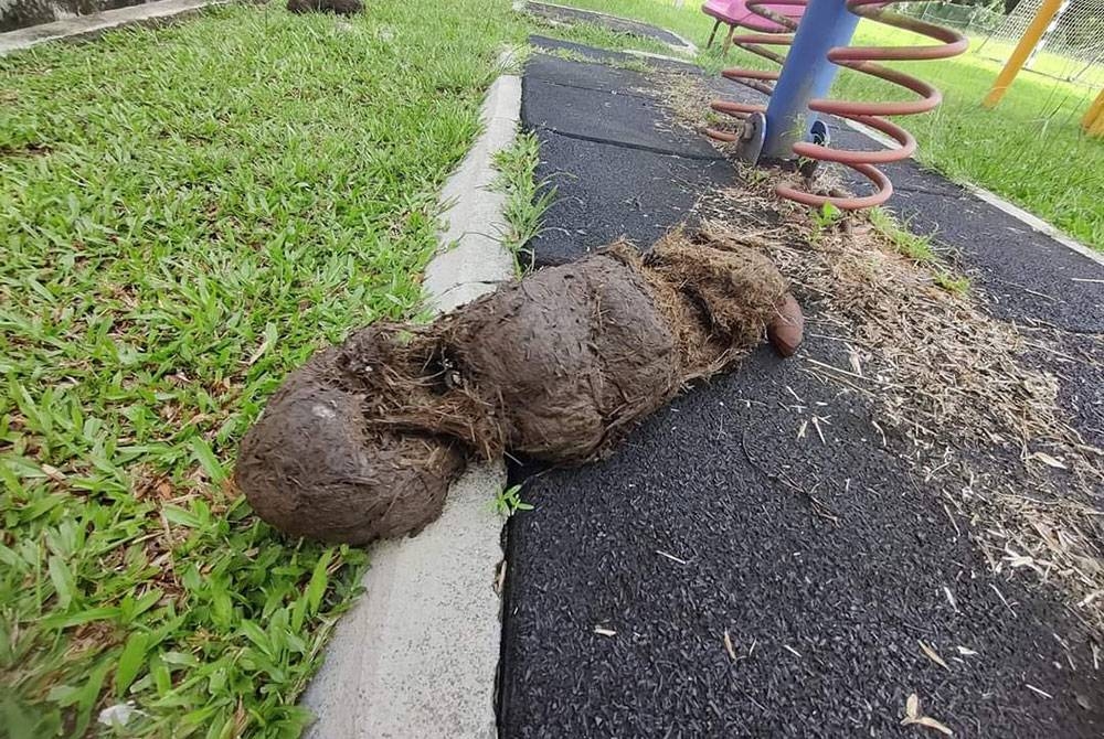 Tahi gajah mengotori kawasan luar kelas.