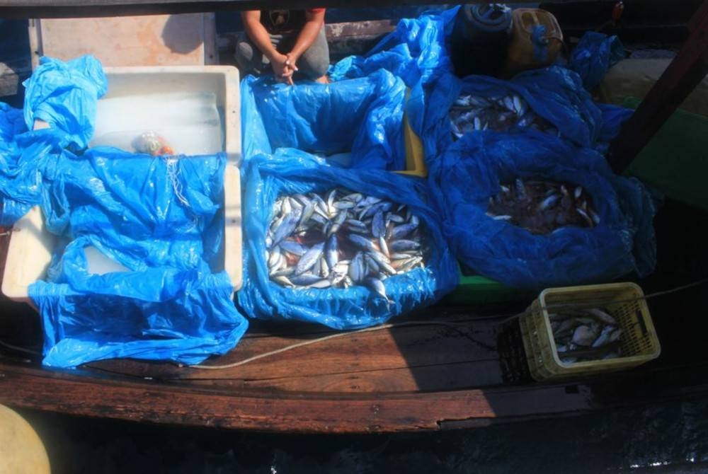 500 kilogram hasil tangkapan dirampas.