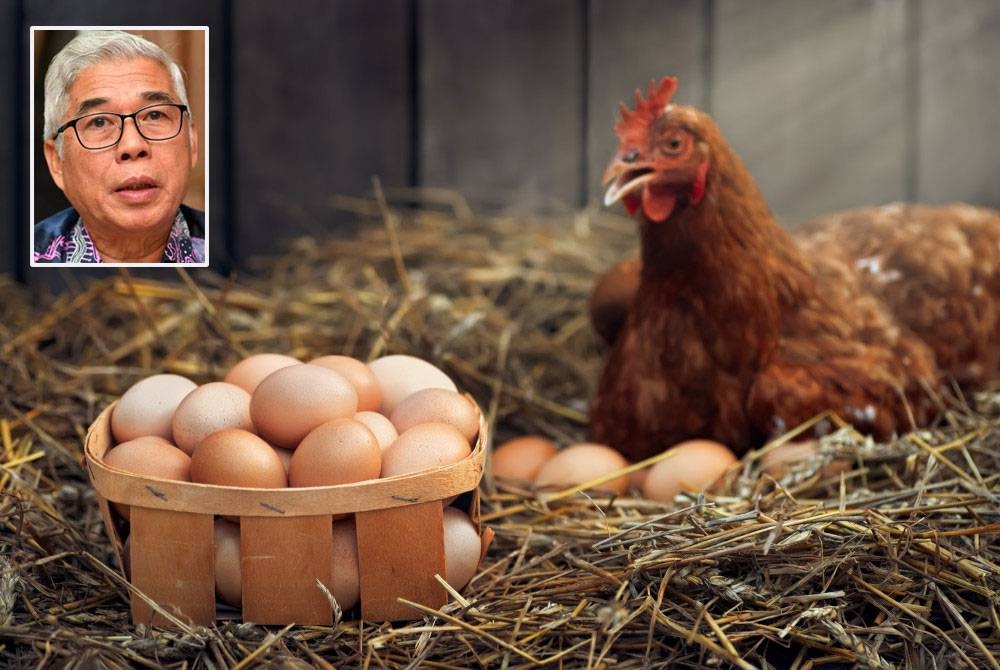 Gambar hiasan - Foto 123RF (Gambar kecil: Hassan)