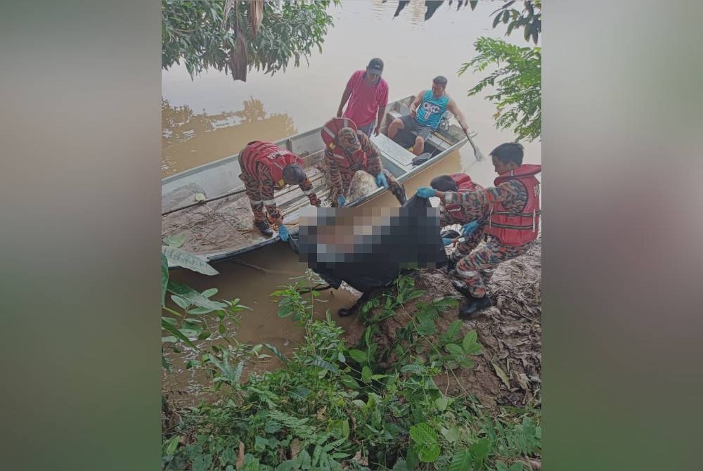 Mayat wanita tanpa kepala dan tangan dibawa naik ke darat oleh sepasukan anggota bomba di Sungai Kampung Sapat, Papar.