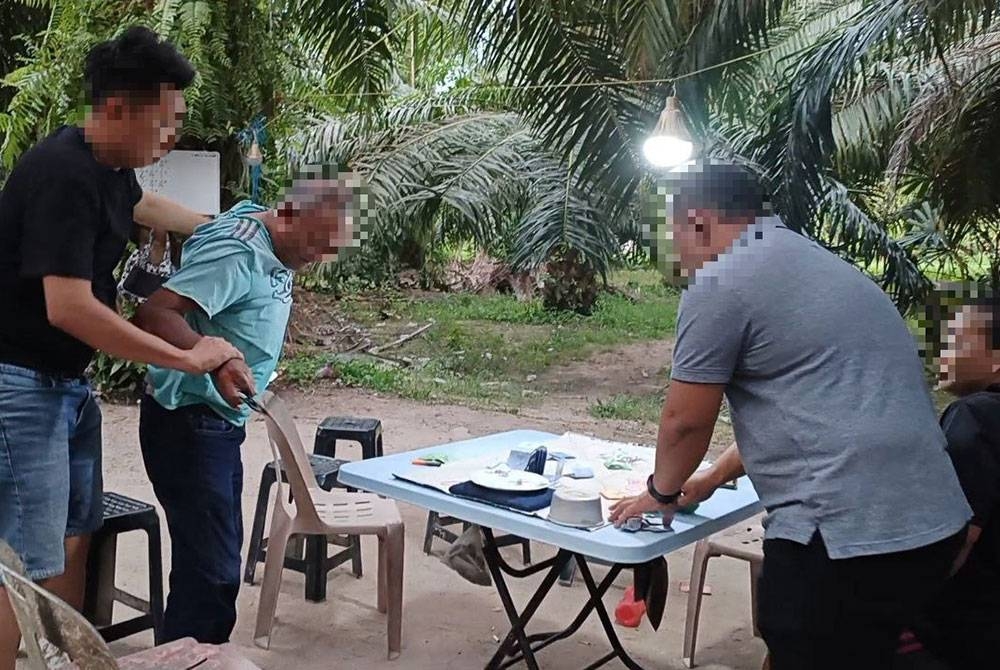 Individu yang sedang leka bermain judi belangkas tidak sempat meloloskan diri apabila diserbu polis di ladang kelapa sawit, Kampung Titi Akar, Pendang, pada petang Rabu.