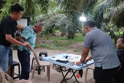 Individu yang sedang leka bermain judi belangkas tidak sempat meloloskan diri apabila diserbu polis di ladang kelapa sawit, Kampung Titi Akar, Pendang, pada petang Rabu.