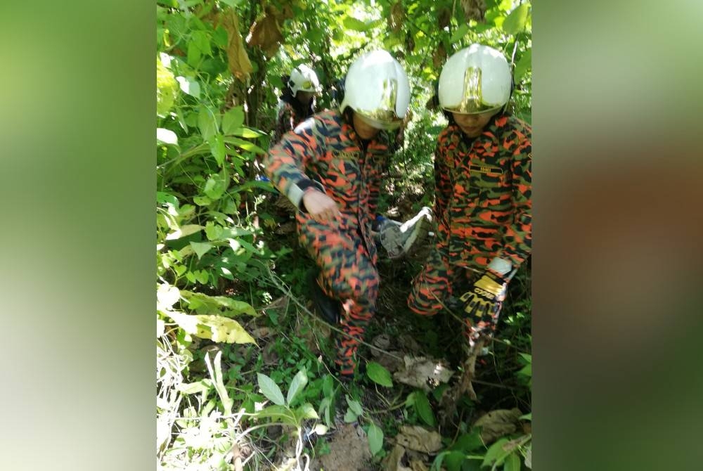 Selain tugas memadamkan kebakaran, khidmat pasukan bomba turut merangkumi tugas menyelamat mangsa sesuatu tragedi.