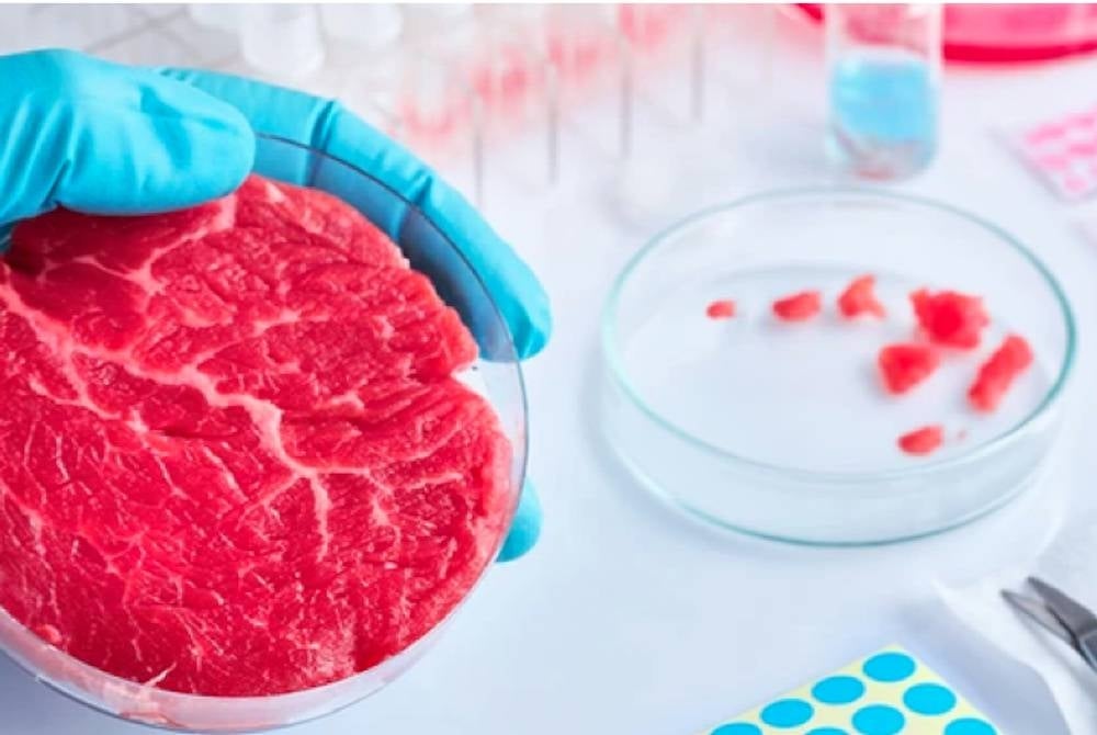 Produk itu dikatakan berbeza daripada pengganti berasaskan tumbuhan seperti burger soya yang meniru rasa dan tekstur seperti daging, namun didakwa tidak mengandungi sebarang protein haiwan. - Foto Agensi