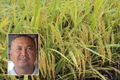 Gambar hiasan. Gambar kecil: Abdul Rashid