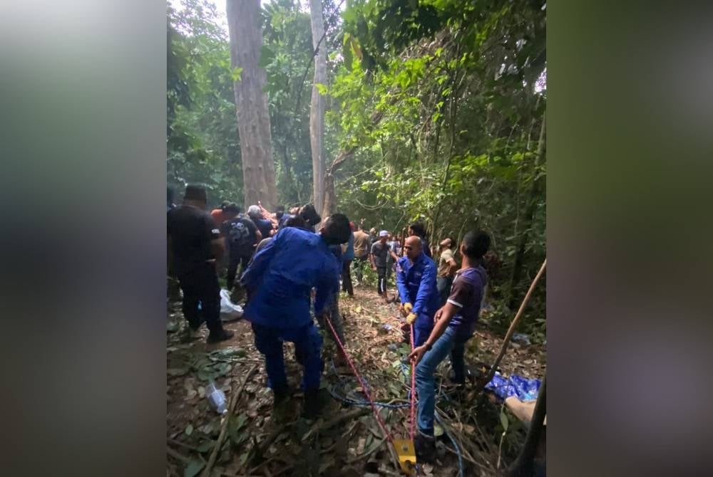 Anggota penyelamat bertungkus-lumus membawa turun mangsa yang tersangkut pada pohon tualang di Kampung Cabang Tungkat, Batu 8 pada Isnin.
