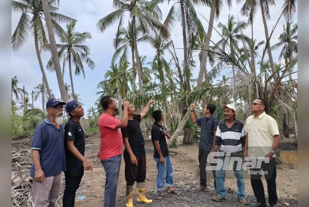 Khalid (dua dari kanan) bersama penduduk setempat menunjukkan keadaan pokok kelapa yang diusahakan terjejas akibat benteng dari Kampung Sungai Suluh sehingga Tanjung Laboh, Batu Pahat, pecah
