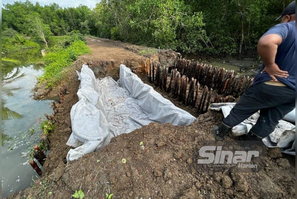 Penduduk melihat keadaan benteng air laut yang pecah dan masuk ke kawasan kebun mereka.