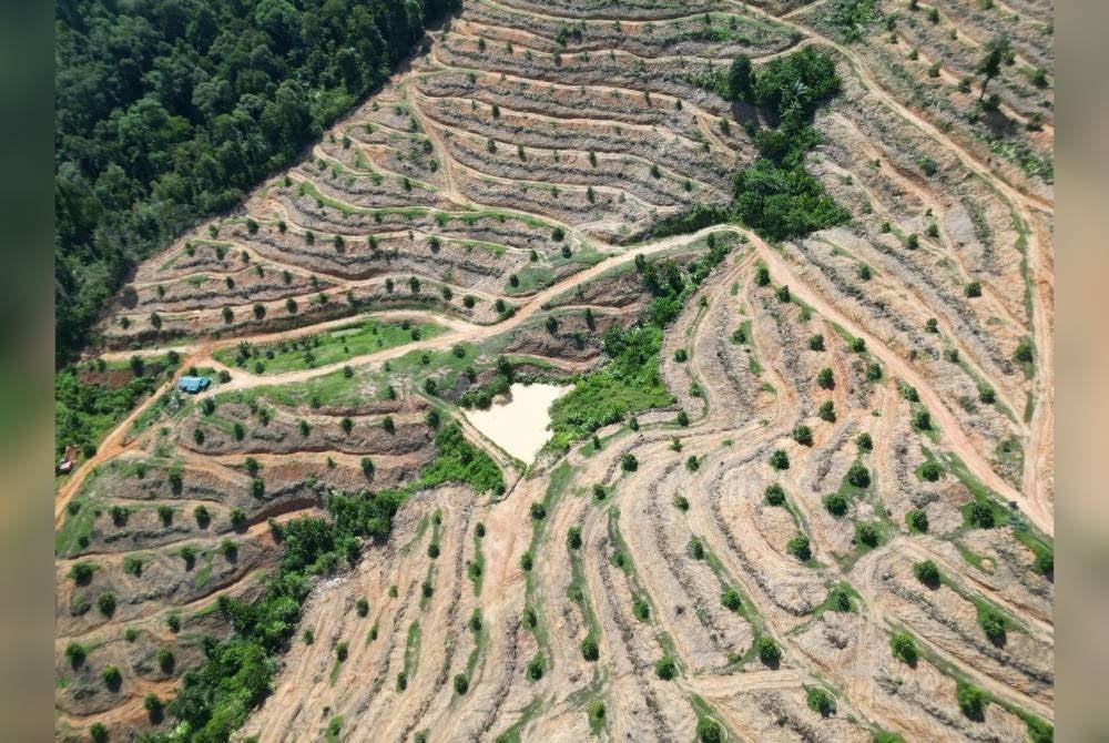 Kolam takungan di puncak bukit gusarkan penduduk setiap kali hujan lebat. - Foto GRASS Kedah