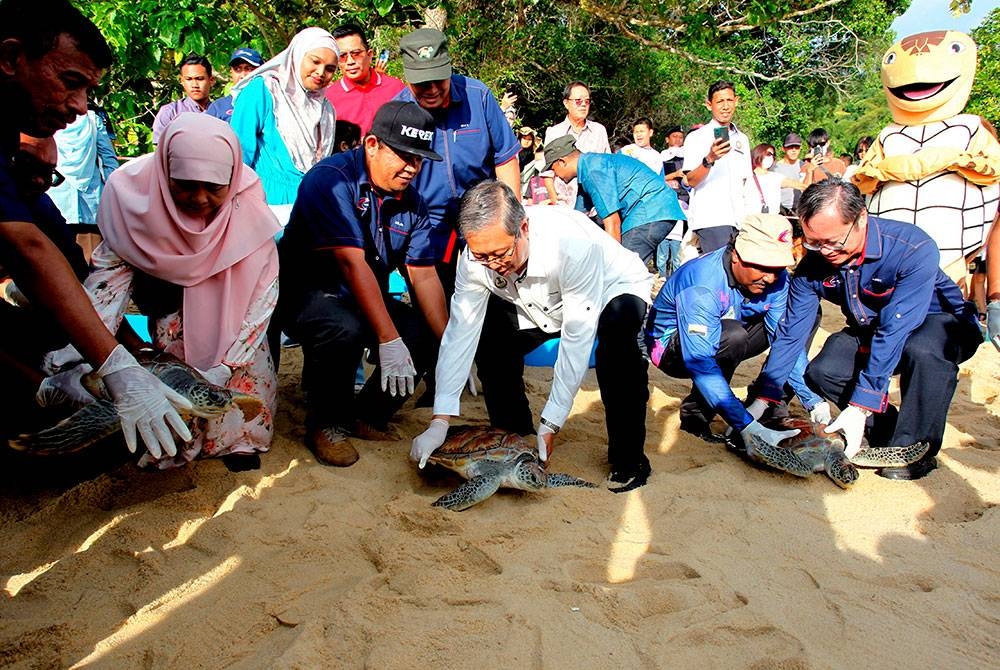 Pengerusi Jawatankuasa Infrastruktur, Tenaga, Air dan Pengangkutan Awam Perak Datuk Seri Mohammad Nizar Jamaluddin (tengah) melepaskan Penyu Agar ke laut pada Majlis Perasmian Pusat Konservasi Dan Penerangan Penyu Teluk Ketapang di Pulau Pangkor hari ini.