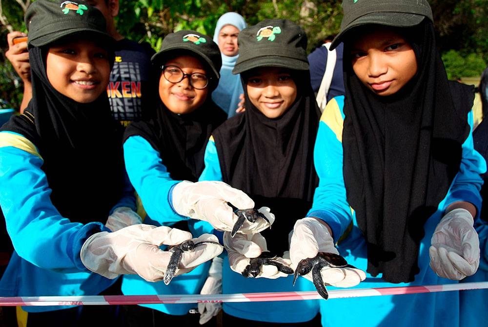 Pelajar Sekolah Kebangsaan Seri Pangkor berpeluang melepaskan Penyu Agar ke laut pada majlis yang disempurnakan oleh Pengerusi Jawatankuasa Infrastruktur, Tenaga, Air dan Pengangkutan Awam Perak Datuk Seri Mohammad Nizar Jamaluddin di Pusat Konservasi Dan Penerangan Penyu Teluk Ketapang di Pulau Pangkor hari ini.