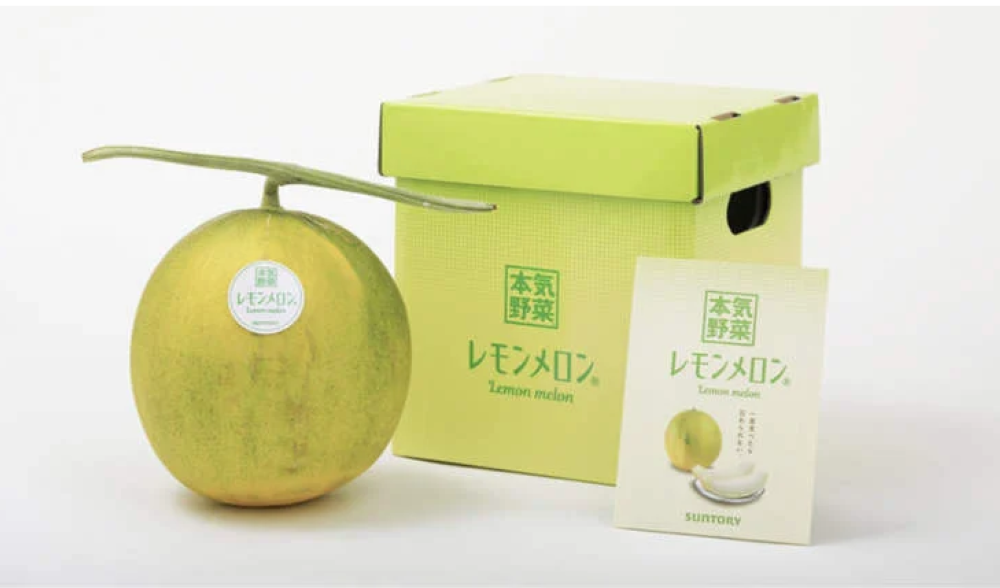 Tembikai masam manis yang berjaya dicipta petani Jepun. - Agensi