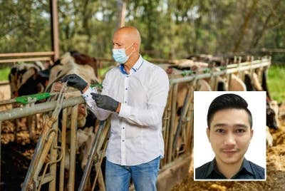 Penternak kecil kini menghadapi ancaman membimbangkan iaitu pencemaran toksin kulat dalam dedak haiwan disebabkan kemarau panjang.(Gambar hiasan) - Foto 123rf. Gambar kecil: Nik Iskandar