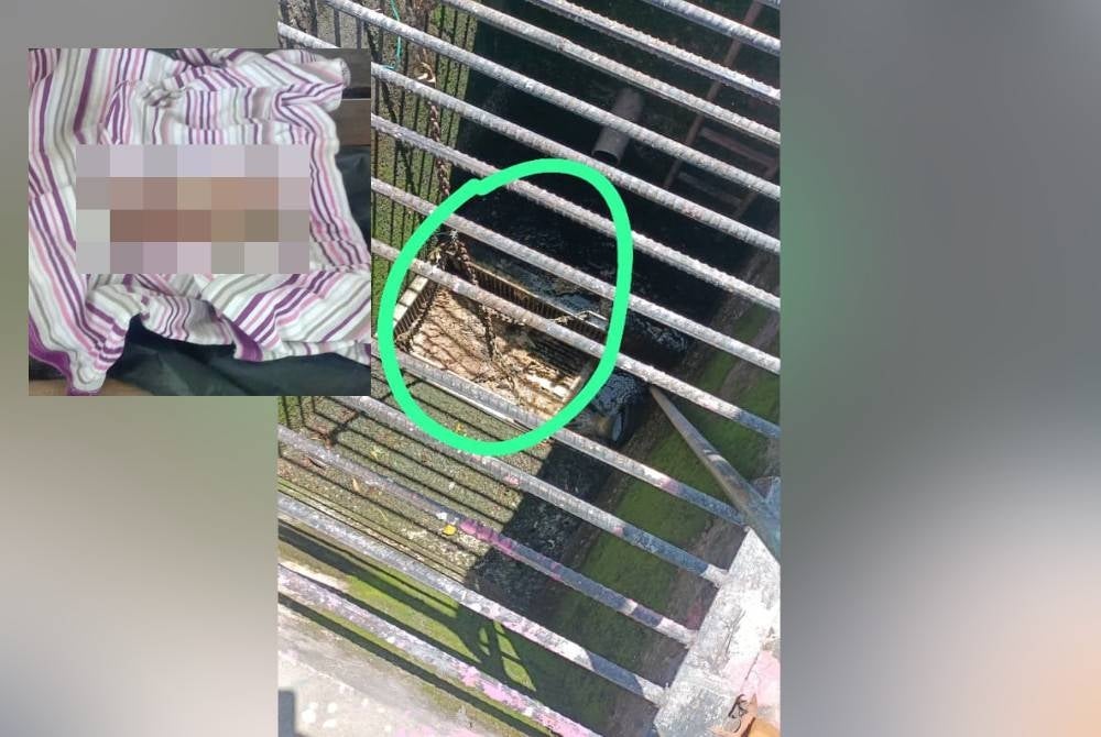 Janin bayi ditemukan di dalam sangkar perangkap sampah loji kumbahan di sebuah kawasan perumahan di Inanam, Kota Kinabalu.