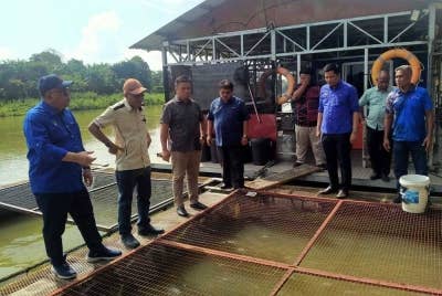 Mohd Zolkafly (kiri) meninjau penternakan ikan sangkar di Mukim Pulau Tiga, Kampung Gajah di Pasir Salak pada Selasa.