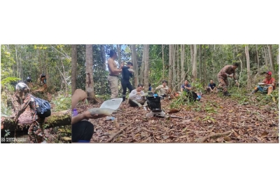 Pasukan bomba berjalan kaki selama lima jam untuk membaea keluar ahli geologi cedera akibat disengat lebah di Hutan Simpan Sapulut, Keningau.