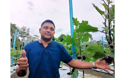 Mohd Ridzuan menunjukkan ladang terung yang diusahakan secara fertigasi atas tanah seluas satu hektar di Lenggong.
