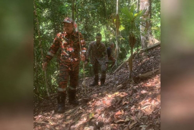 Anggota bomba dari BBP Kuantan menggerakkan operasi SAR selepas menerima maklumat berhubung kehilangan tujuh pendaki di Bukit Galing pada Sabtu.