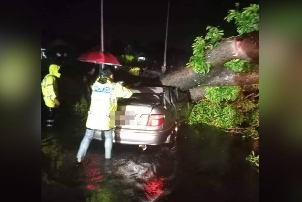 Kereta jenis Nissan Sentra dinaiki Nik Amirah bersama suami dan tiga anaknya dihempap pokok di Kampung Bukit Cina, Kok Lanas pada Sabtu malam.