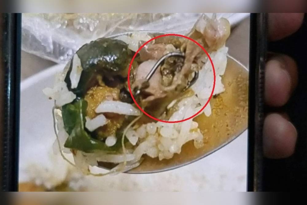 Mata kail yang ditemui dalam masakan ikan keli di restoran di daerah Pak Kret, Nonthaburi. - Foto Agensi