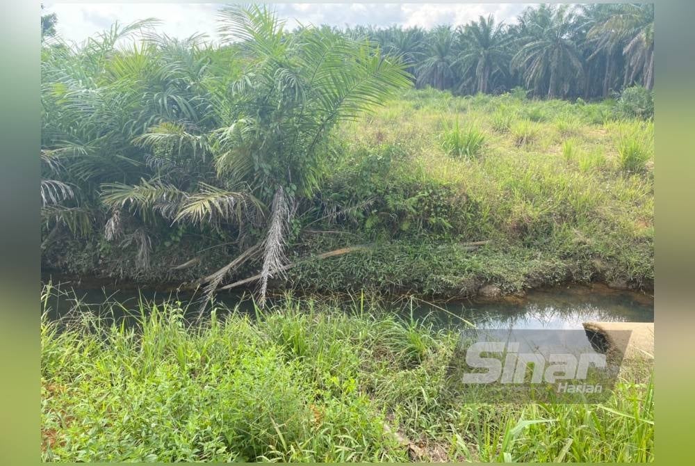 Kawasan sungai kecil yang dikhuatiri tercemar akibat projek tapak pelupusan sampah tersebut.