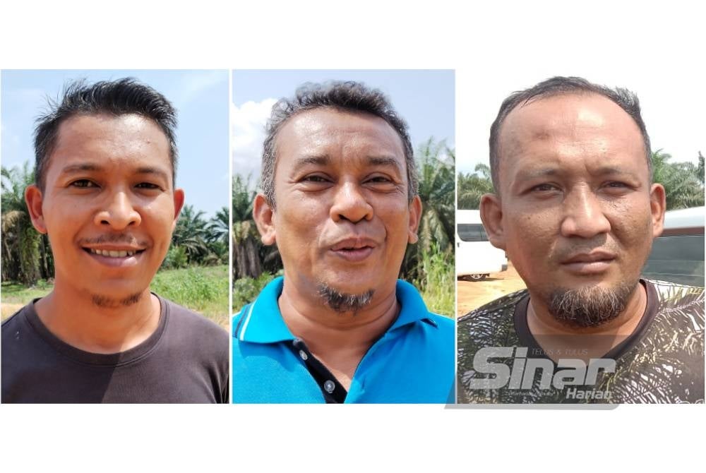 Mohd Hairi, Rasid, Muhammad Firdaus